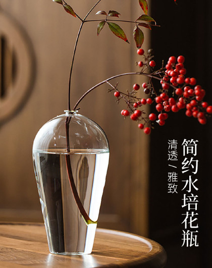 简约水培花瓶摆件客厅插花鲜花玻璃花瓶透明客厅插花水养装饰花器