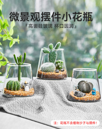 3个装微景观摆件小花瓶植物插花简约布置桌面透明精致瓶子
